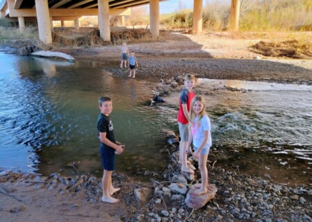 IMG_20250301_160314278_HDR_AE_copy_1638x1228