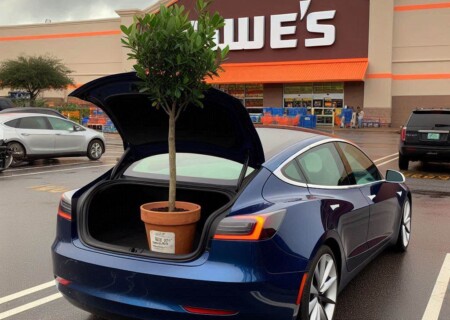 tree lowes