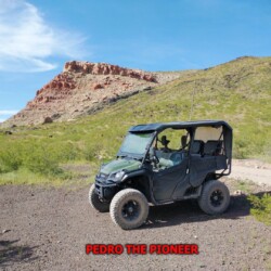 pioneer