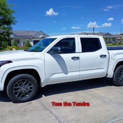 tundra