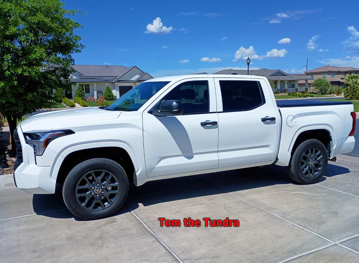 tundra