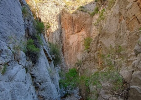 IMG_20250423_103629814_HDR_AE