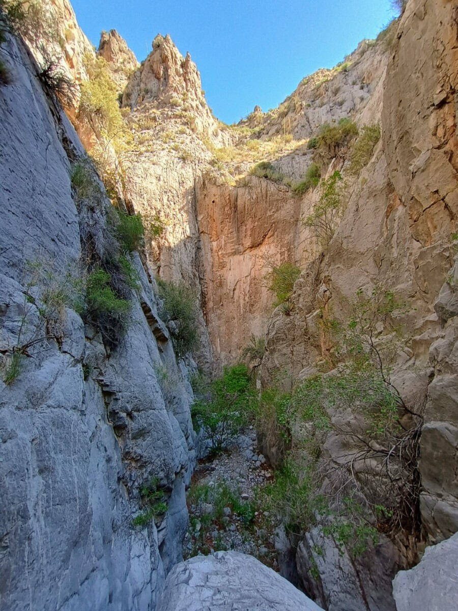 img_20250423_103629814_hdr_ae