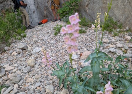 PXL_20250423_205024636