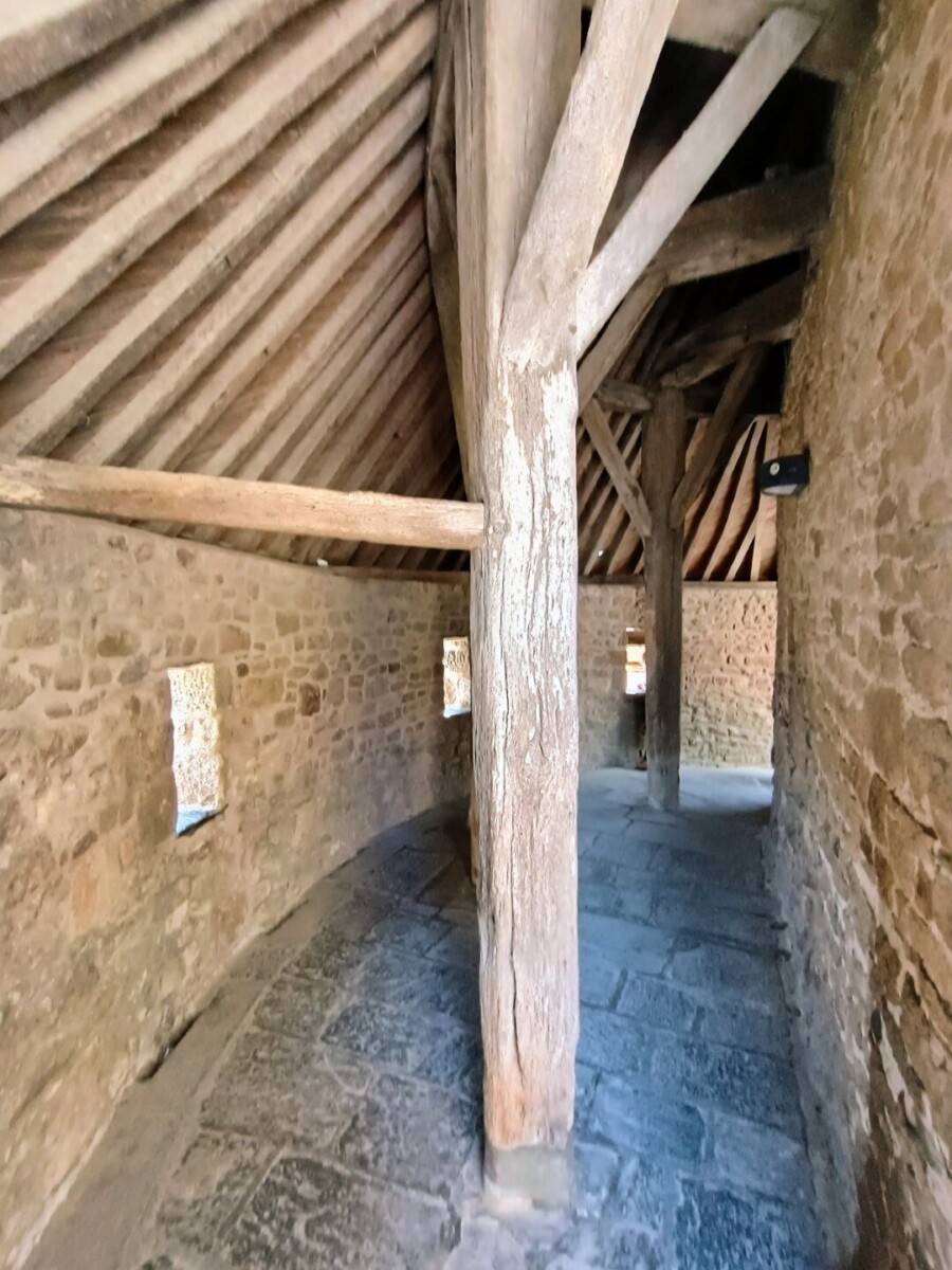 montst-18