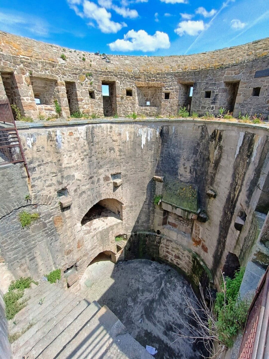 montst-23