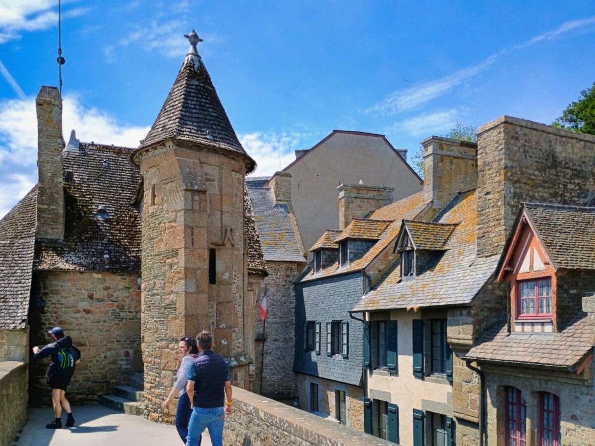 montst-24