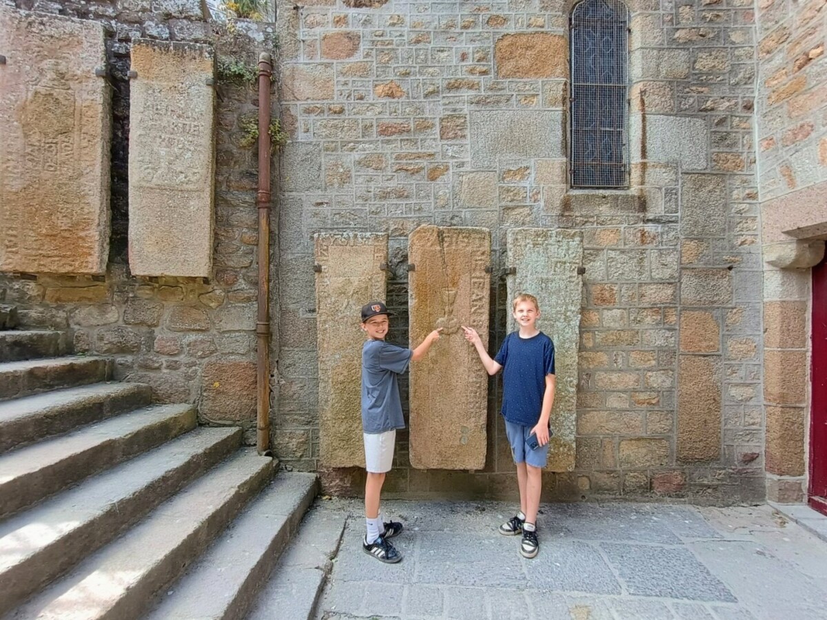montst-31