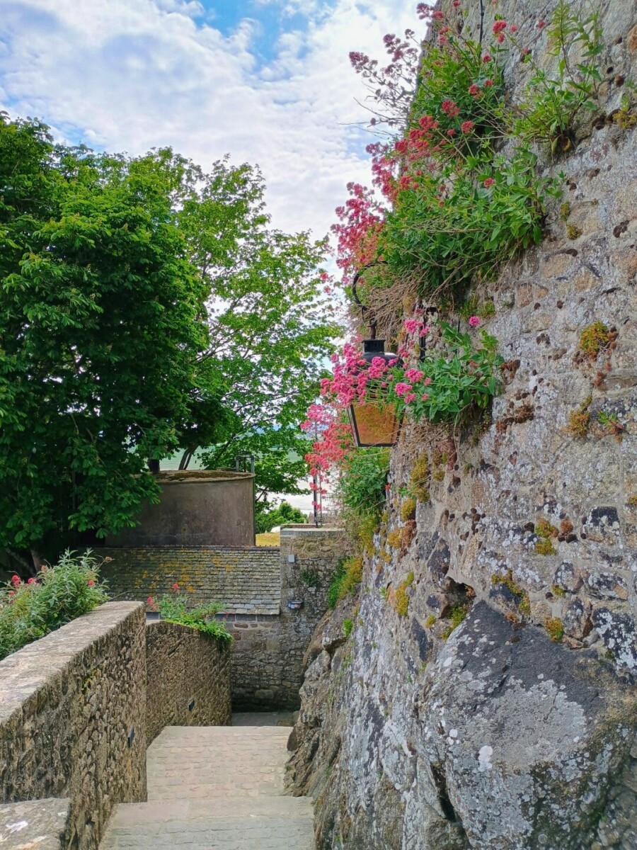 montst-46