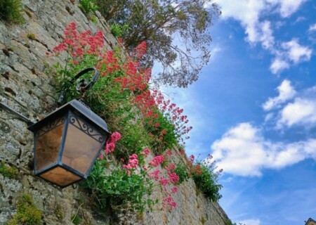 MontSt (47)