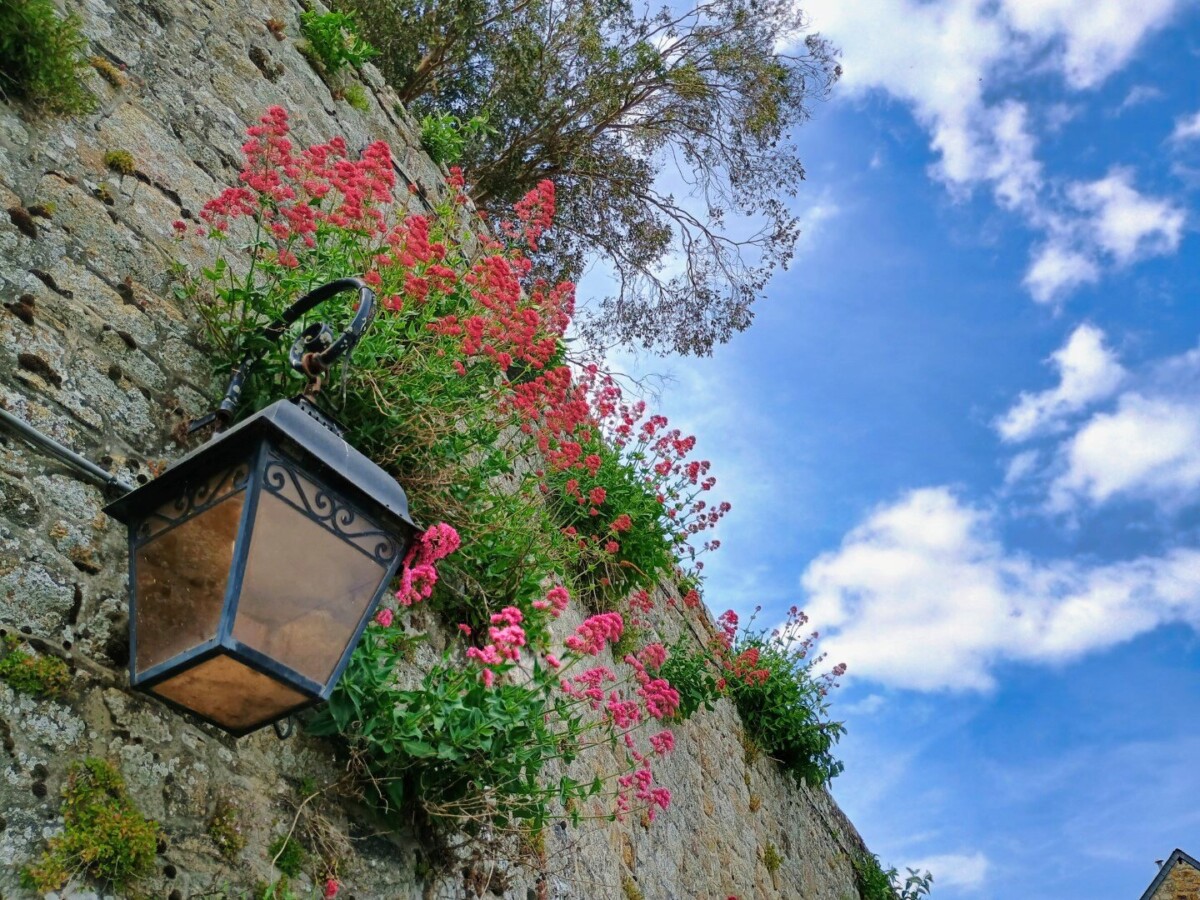 montst-47