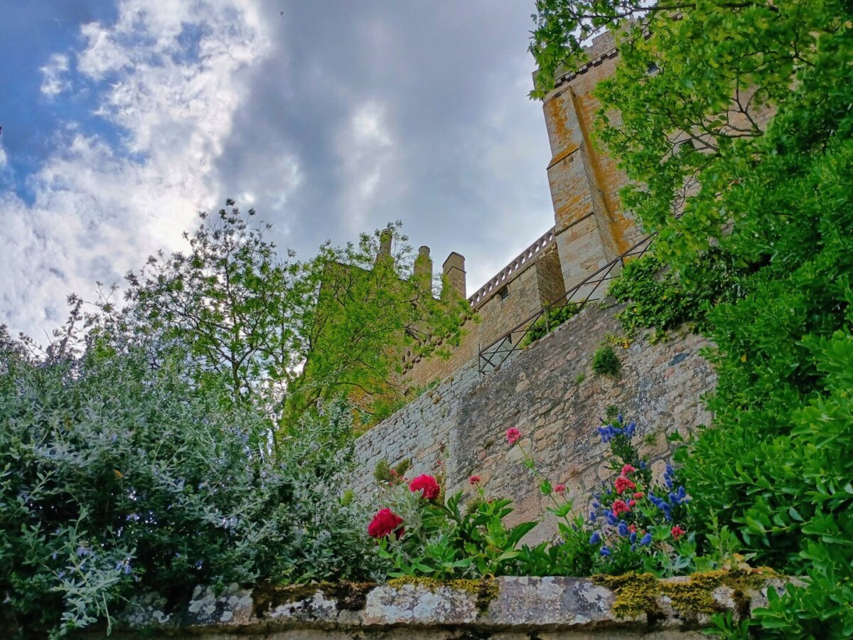 montst-48