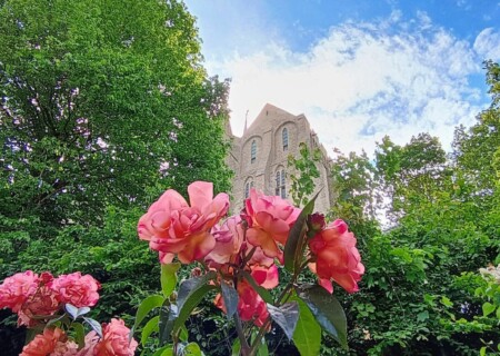 MontSt (52)