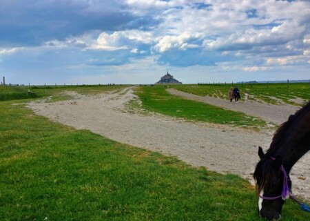 MontSt (60)