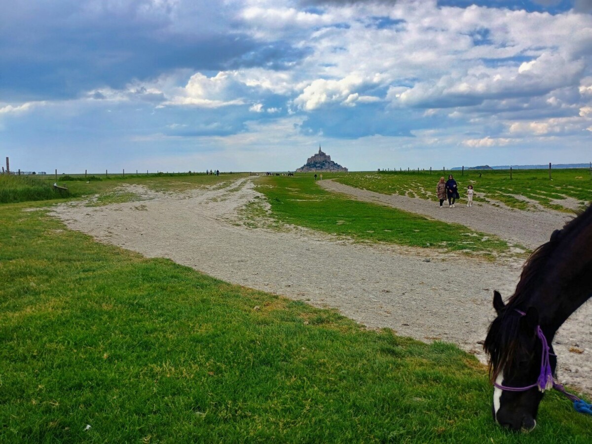 montst-60