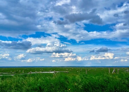MontSt (61)