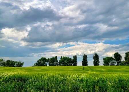 MontSt (62)