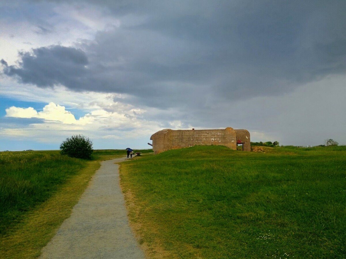normartillery-34