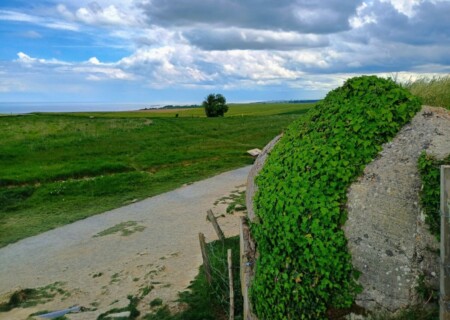 NormArtillery (6)
