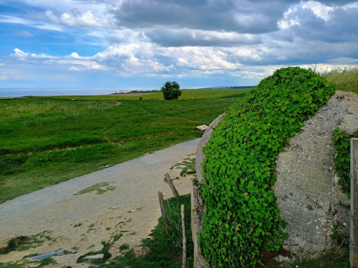normartillery-6