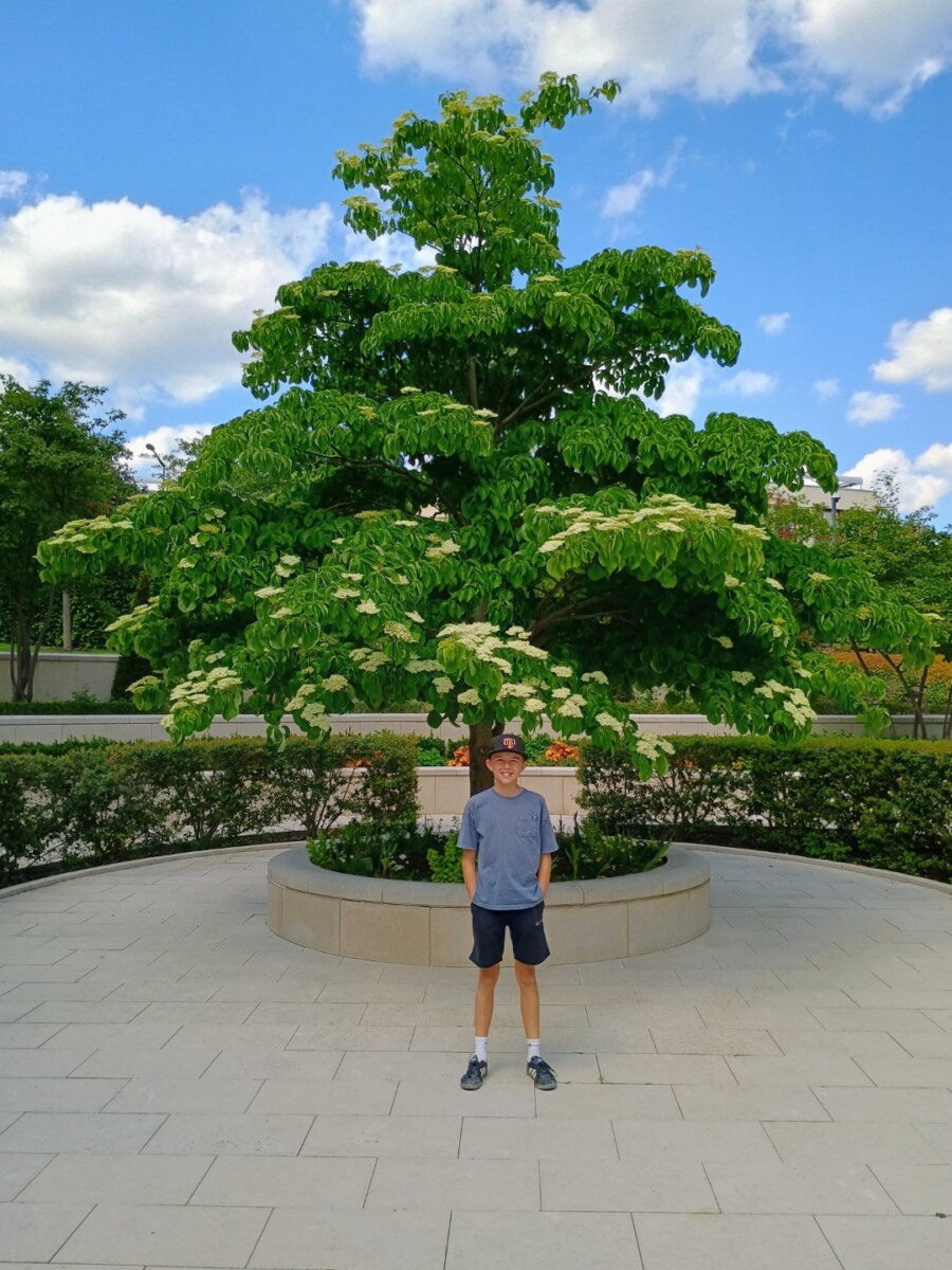 paristemple-10