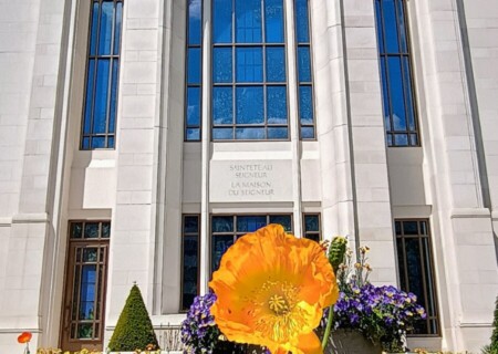 ParisTemple (18)
