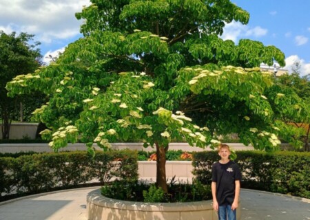 ParisTemple (8)