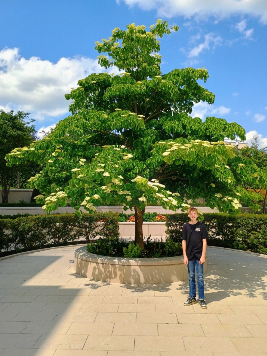 paristemple-8