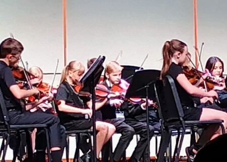 Mcay Symphony (2)
