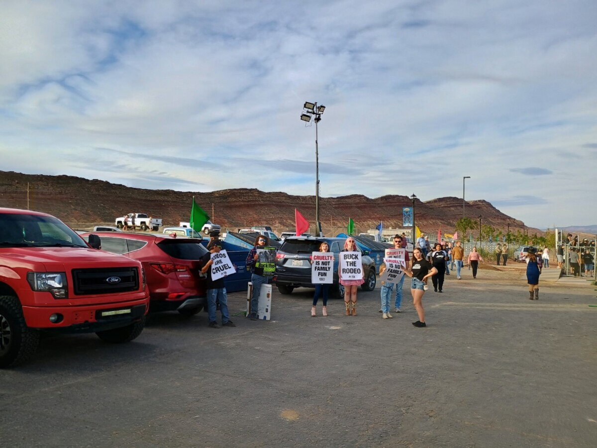 rodeo-washington-county-5