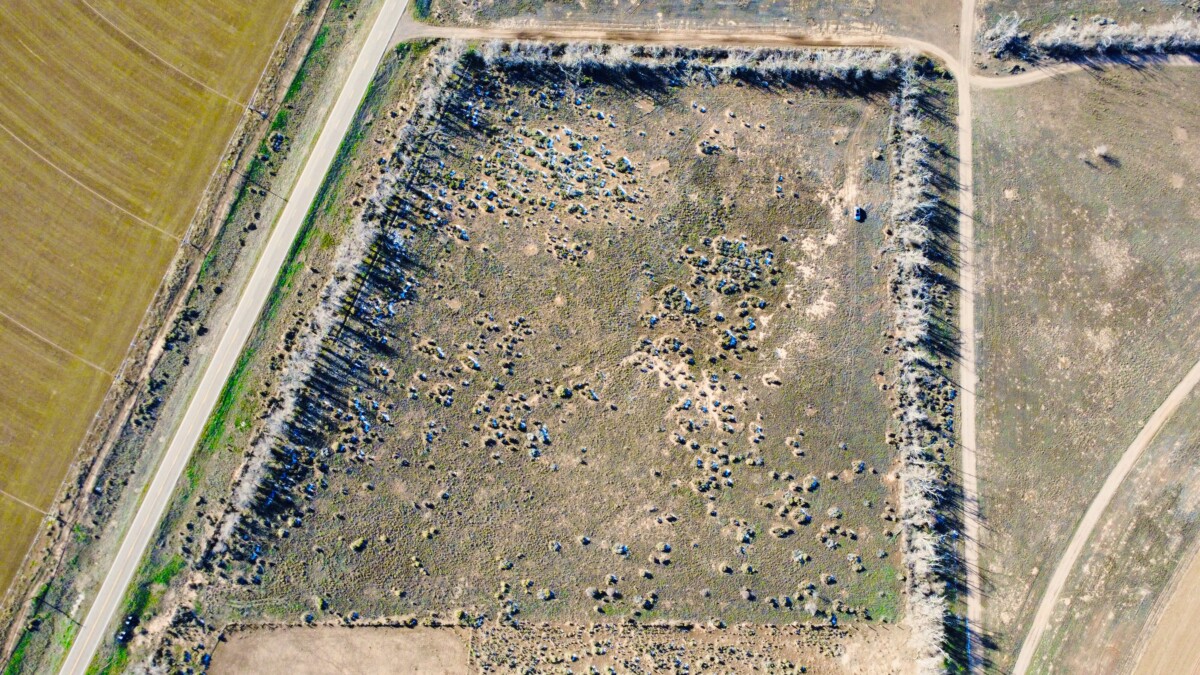 beryl-drone-1-11-26-8