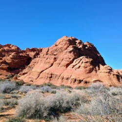 img_20260119_143606734_hdr_ae