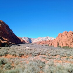 img_20260119_144240745_hdr_ae