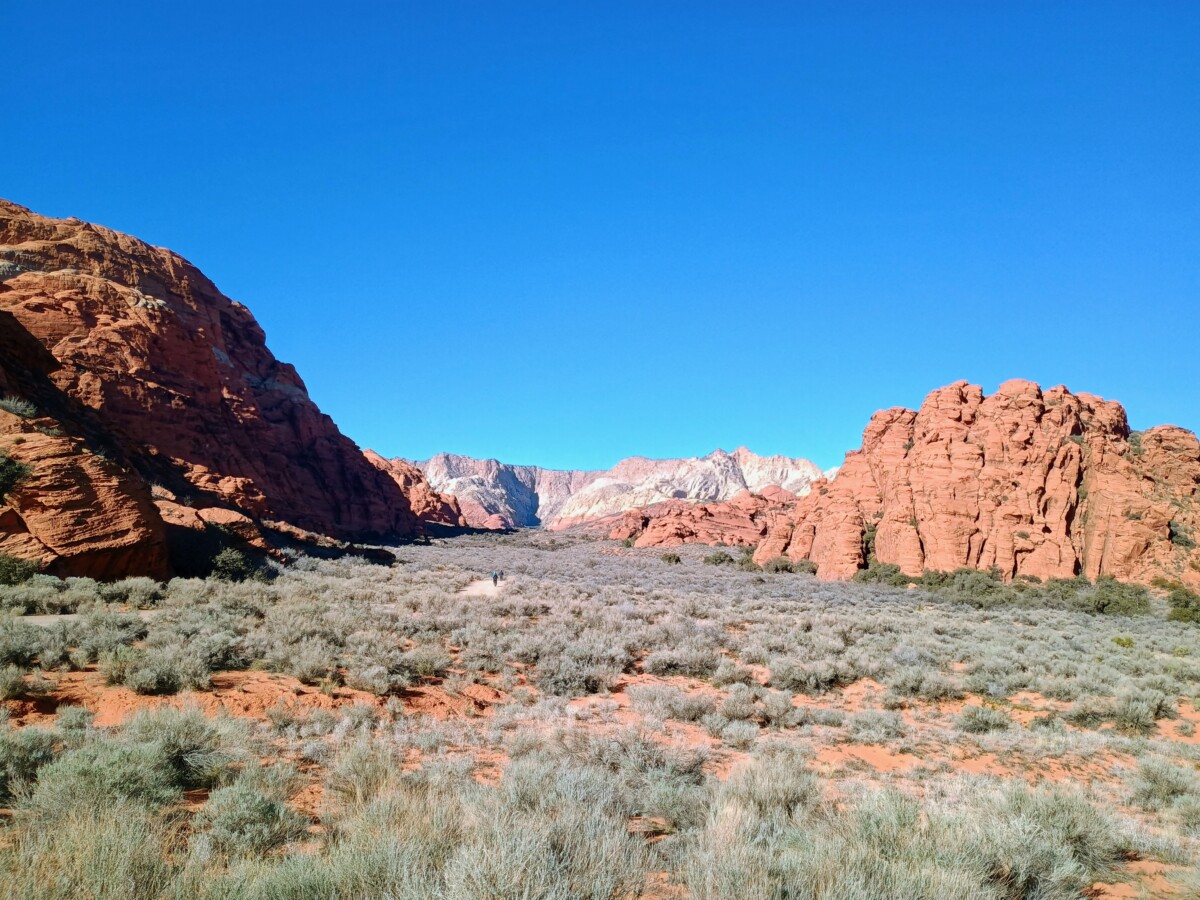 img_20260119_144240745_hdr_ae