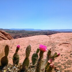 img_20260417_121656303_hdr_ae