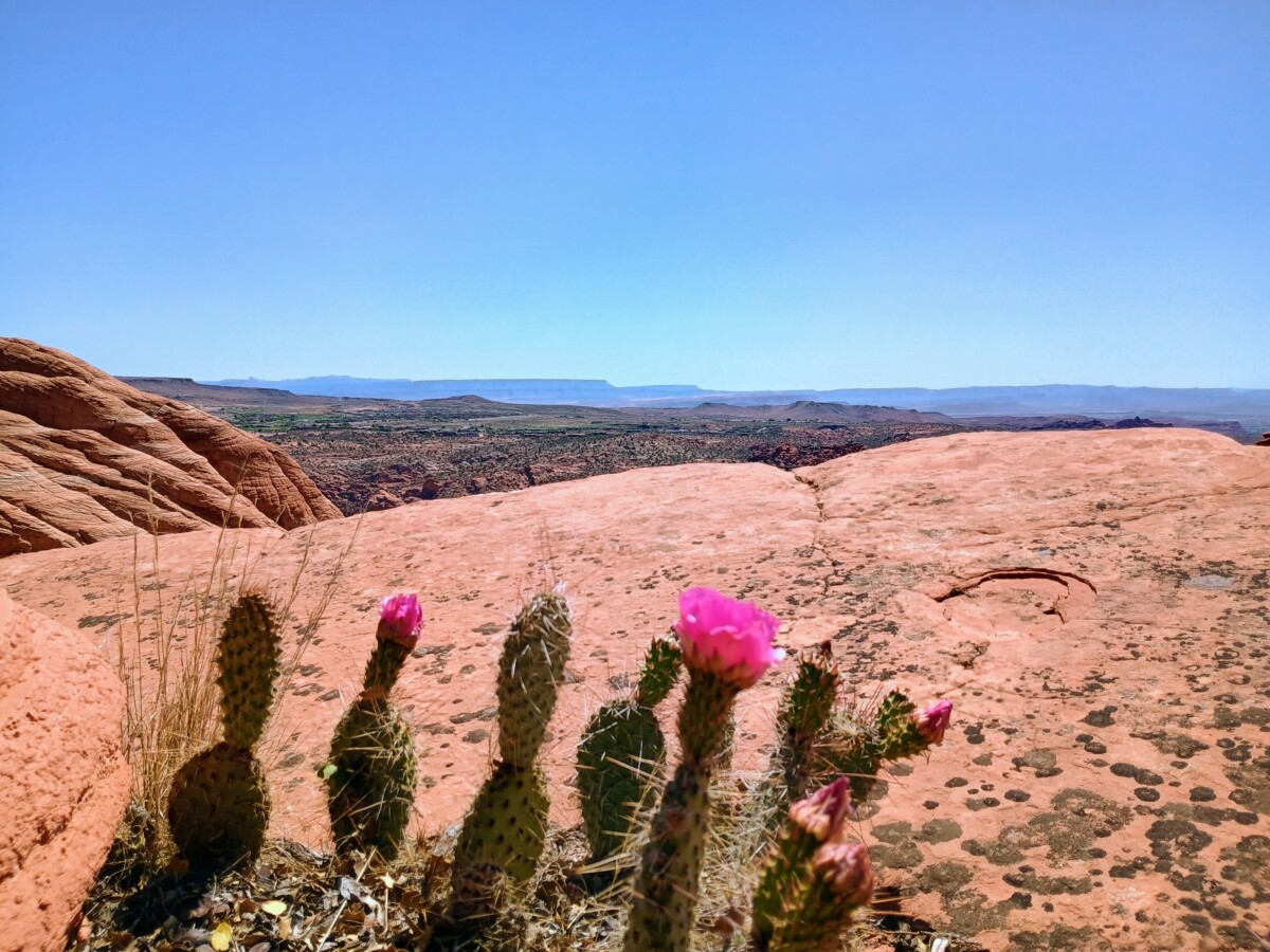 img_20260417_121656303_hdr_ae