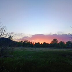 IMG_20260515_203108933_HDR_AE