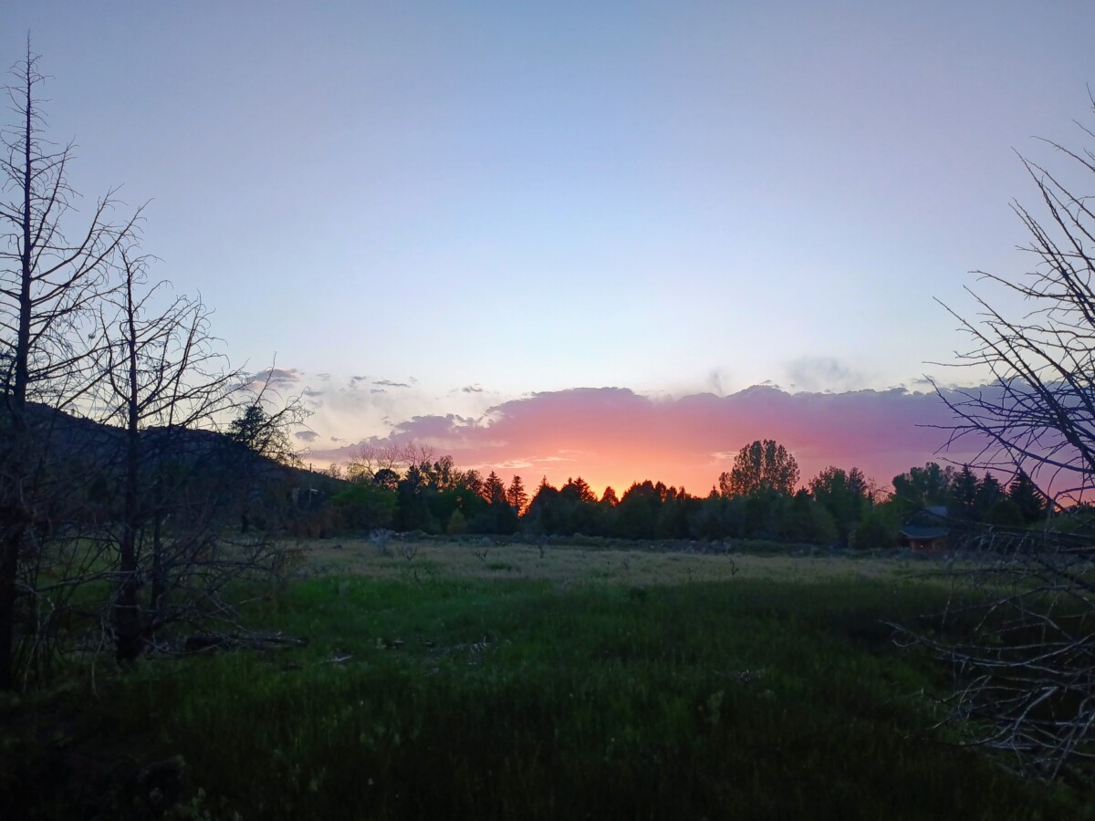 img_20260515_203108933_hdr_ae