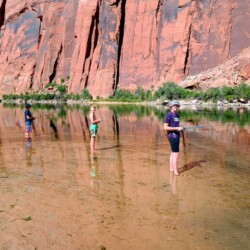 img_20260524_090847905_hdr_ae