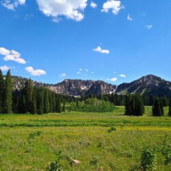 bear-lake-area-fourth-of-july-60