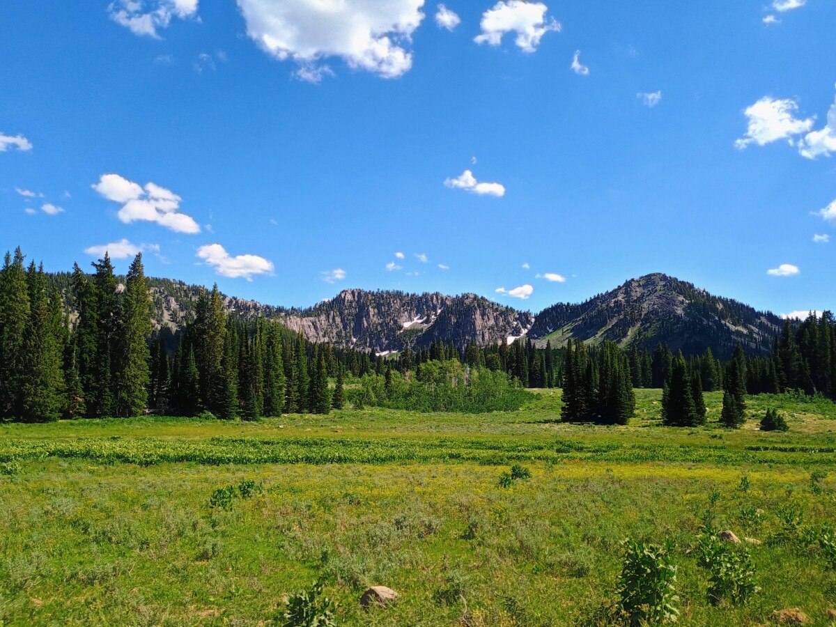 bear-lake-area-fourth-of-july-60