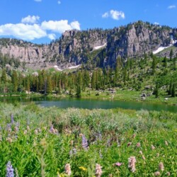 bear-lake-area-fourth-of-july-63