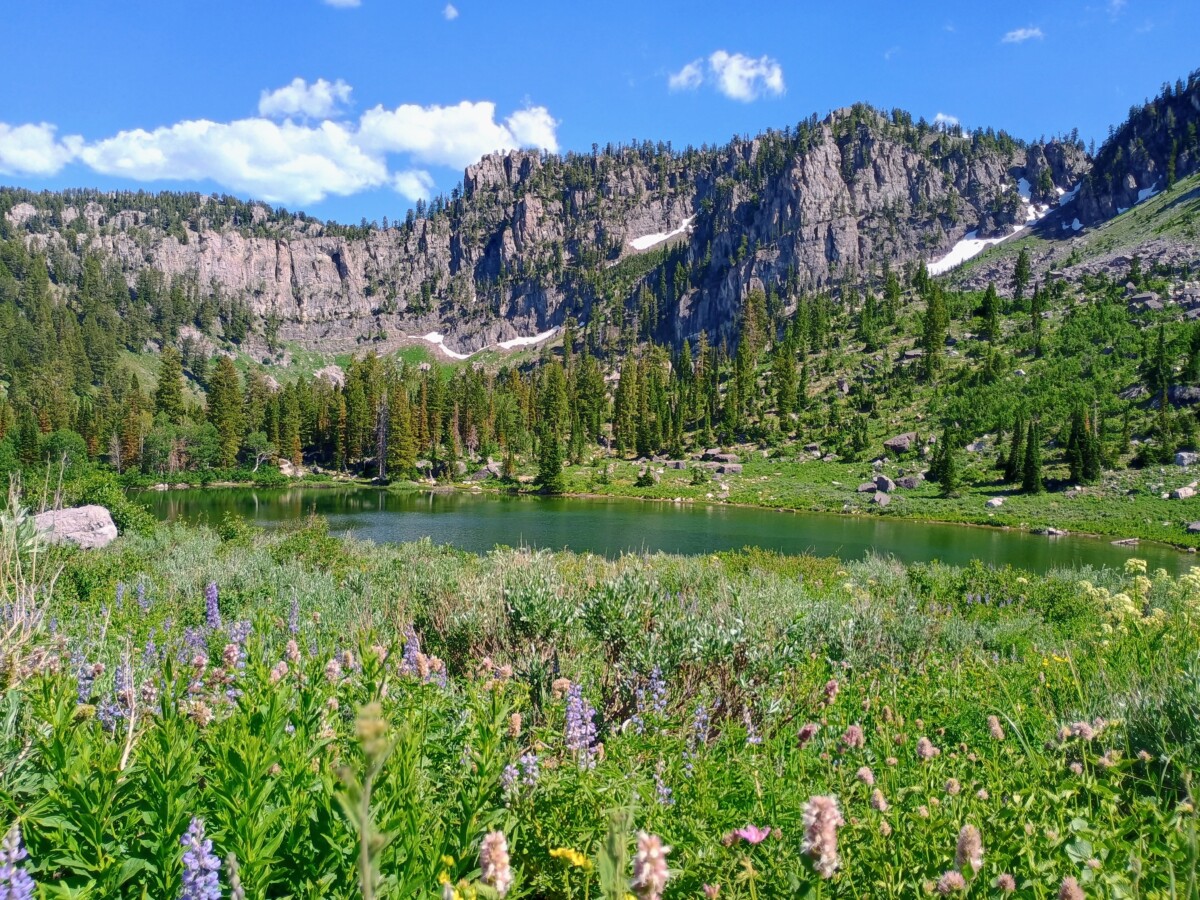 bear-lake-area-fourth-of-july-63