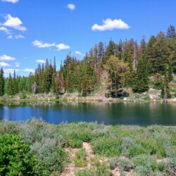 bear-lake-area-fourth-of-july-67