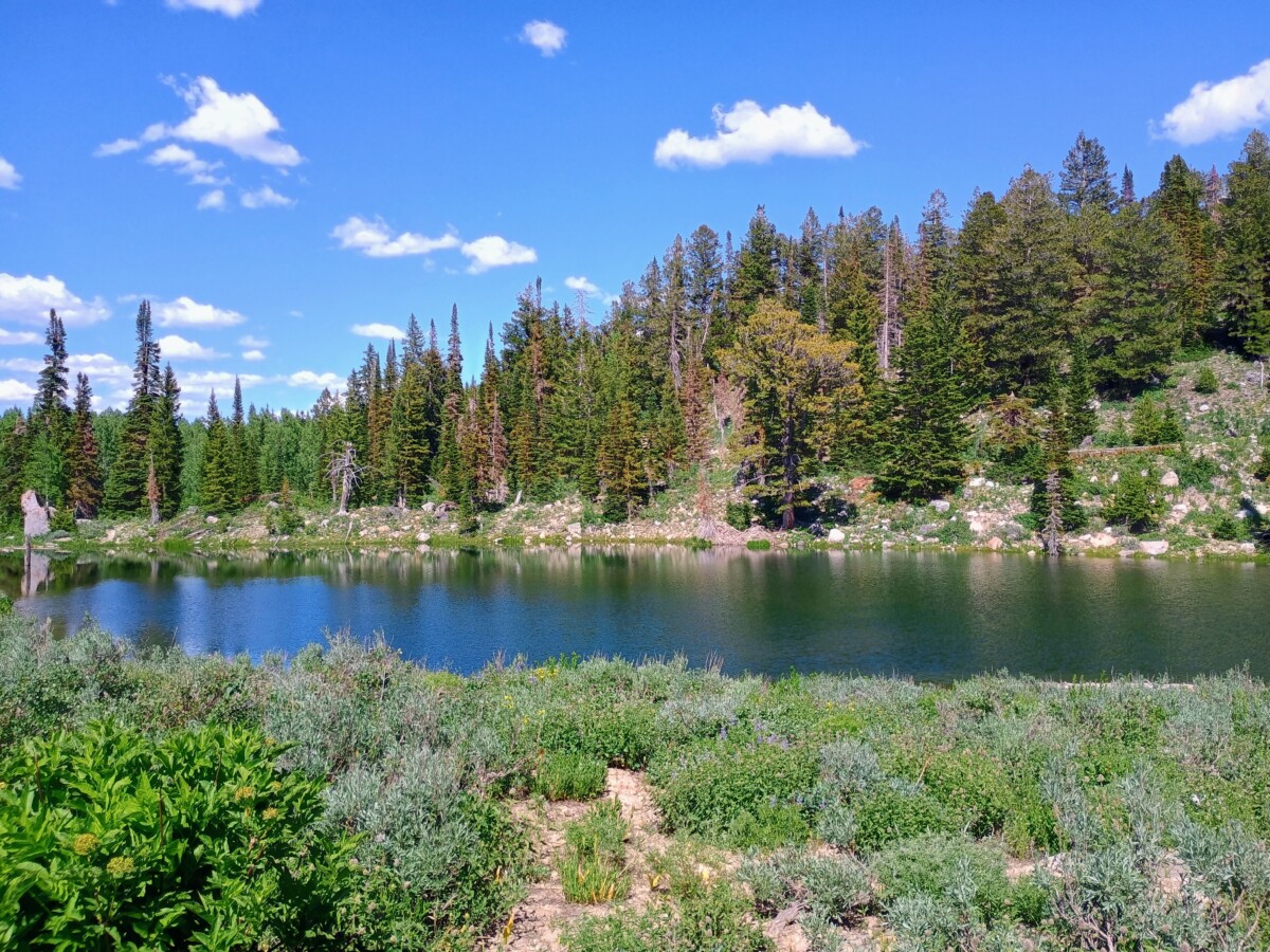 bear-lake-area-fourth-of-july-67