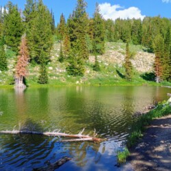 bear-lake-area-fourth-of-july-68
