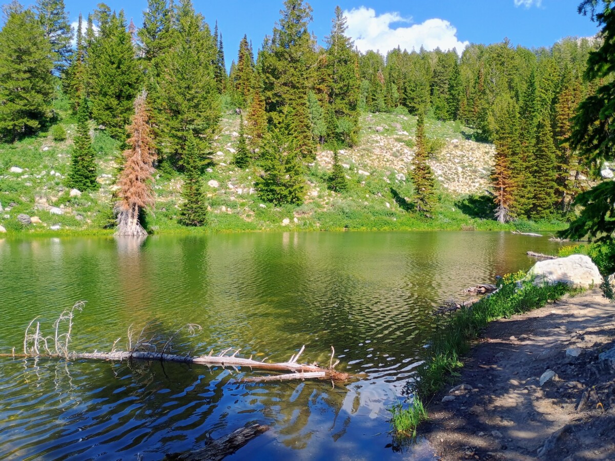 bear-lake-area-fourth-of-july-68
