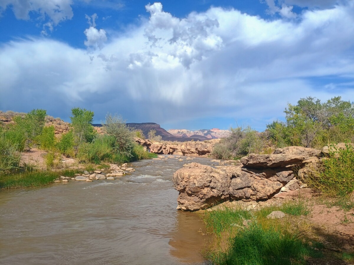img_20260806_174848166_hdr_ae