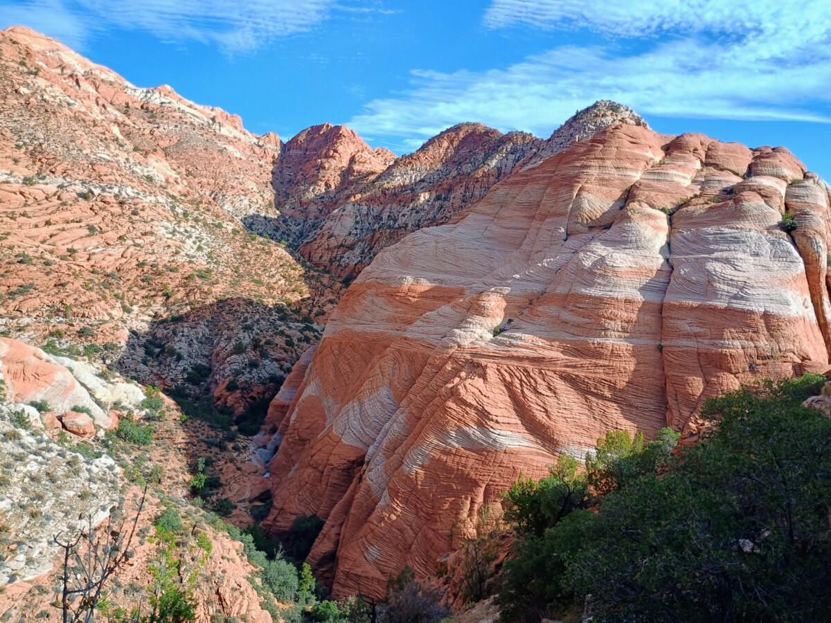 img_20260822_090154158_hdr_ae