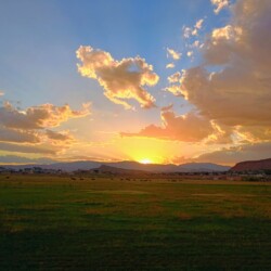 IMG_20260831_195216175_HDR_AE~2